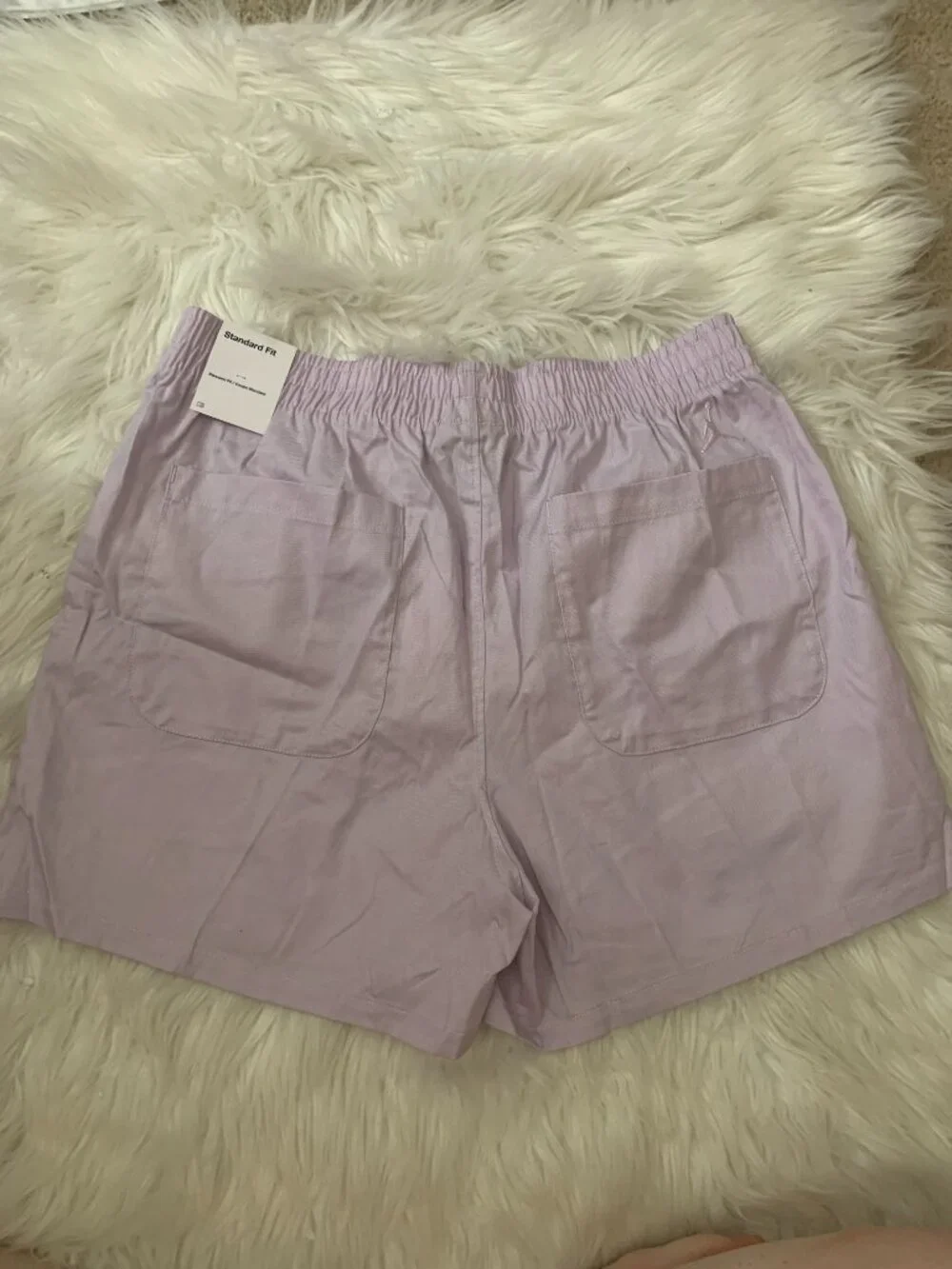 NIKE X AIR JORDAN Roses Embroidered Woven Shorts in Lilac Sz MEDIUM